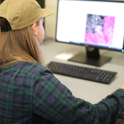 Student in a cap and flannel shirt analyzing satellite imagery on a computer