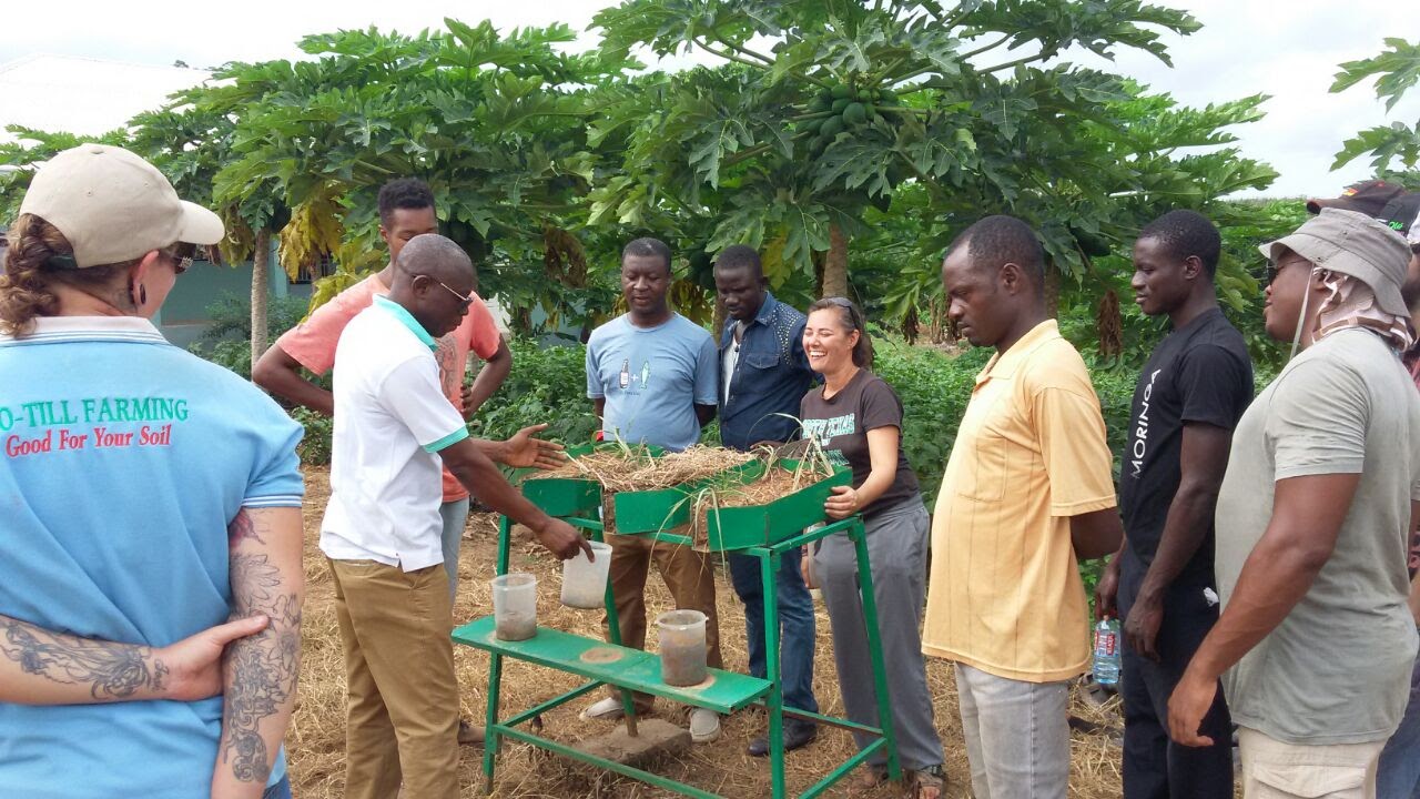 Joy Straley and a group of Ghanaians working on an agriculture project.