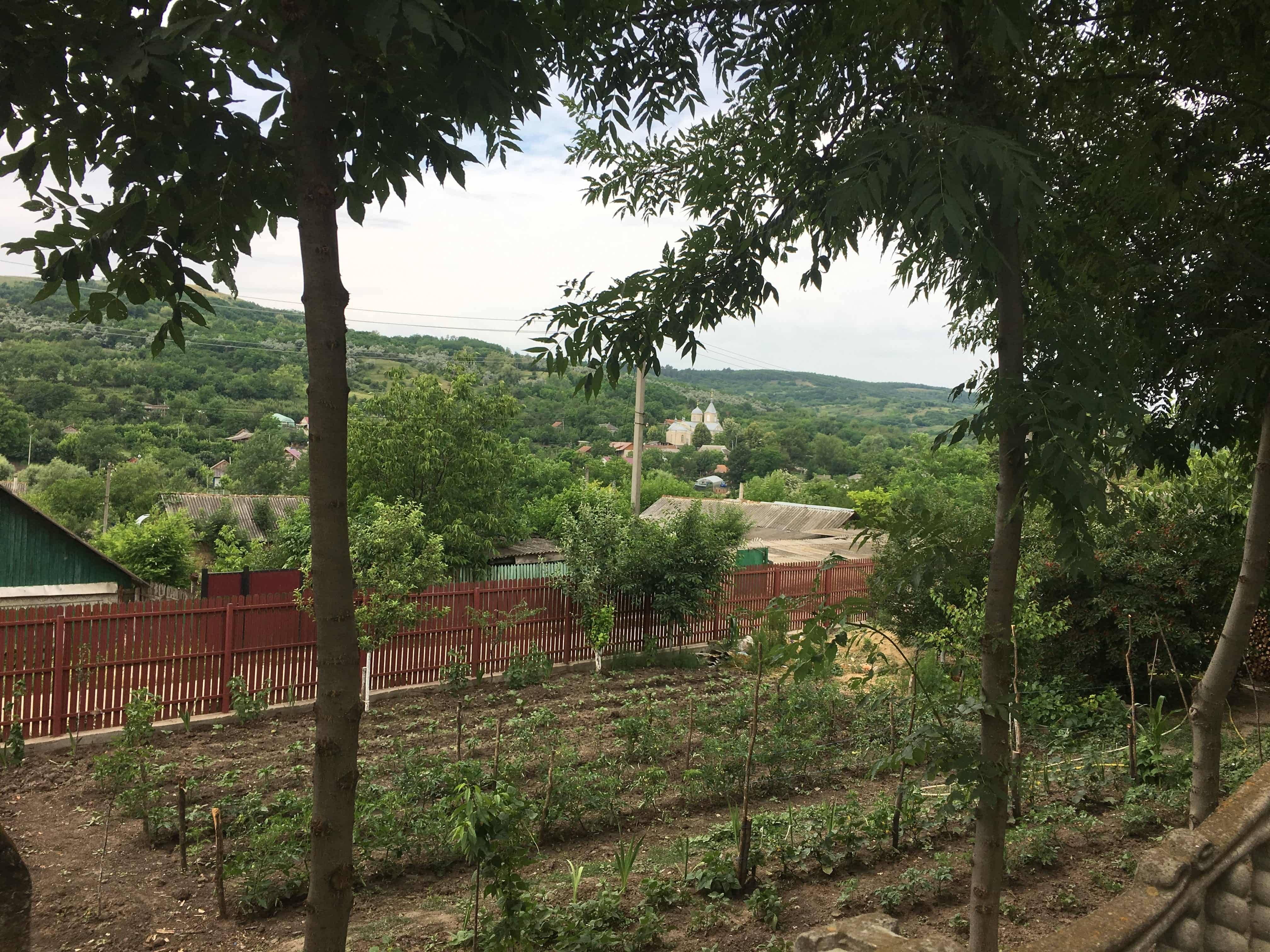 A view of a field in Moldova